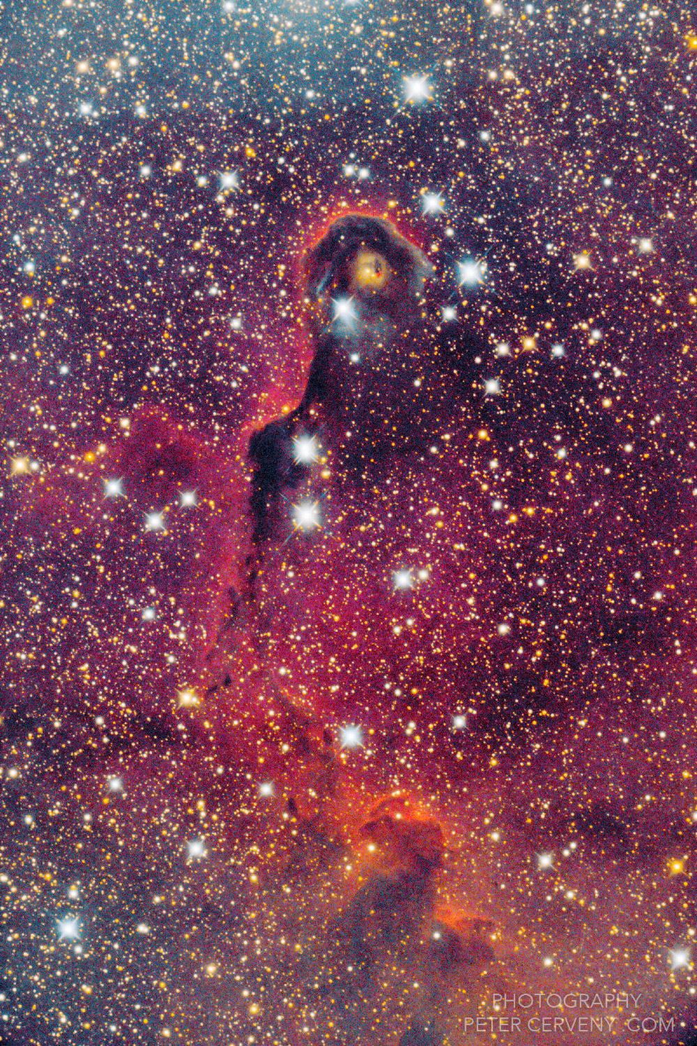 IC1396A Elephant's Trunk Nebula