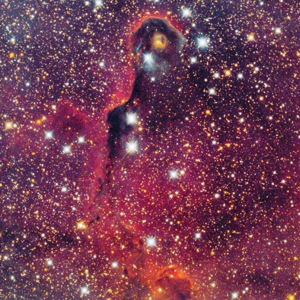 IC1396A Elephant's Trunk Nebula