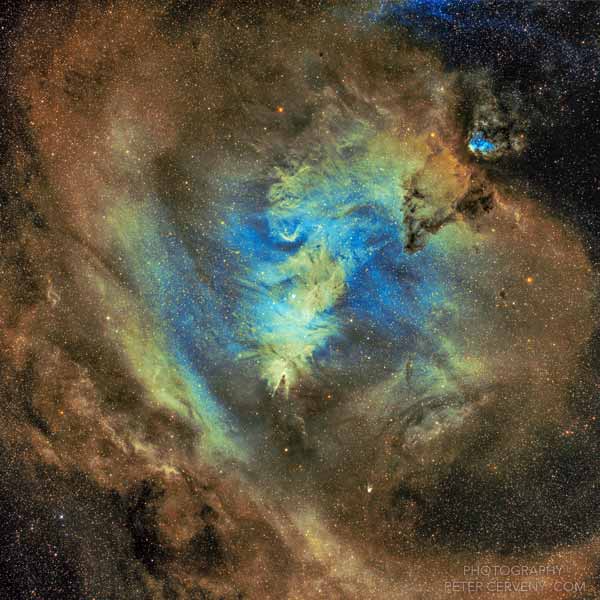 NGC2264 Christmas Tree Nebula
