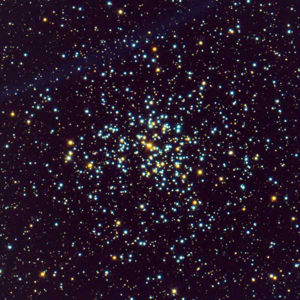 M37 Salt and Pepper Cluster