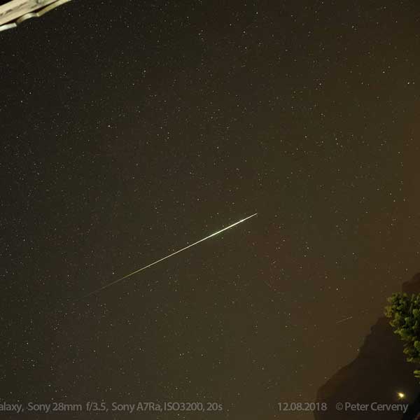 Perseid Meteor