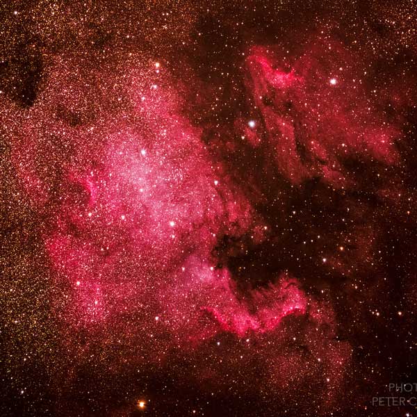 NGC7000 North America Nebula