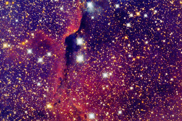 IC1396 IC1396