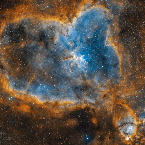 ic1805 sho t16 103px