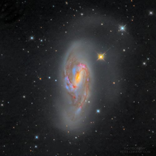 m66 lrgb tl71px