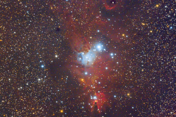 NGC2264 NGC2264