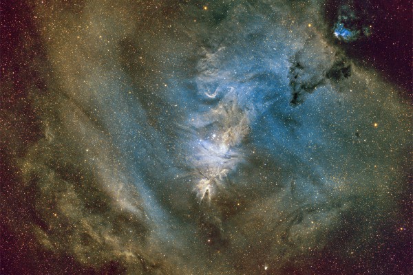 NGC2264 NGC2264