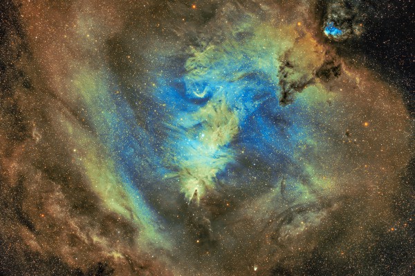 NGC2264 NGC2264