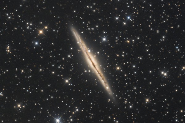 NGC 981 NGC 981