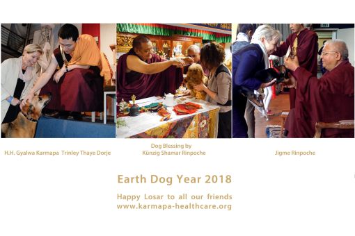 2018 3dogs year 2100