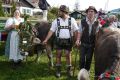 w1800 20140919 bolsterlang viehscheid