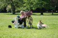 w1800 20190524 dog hh