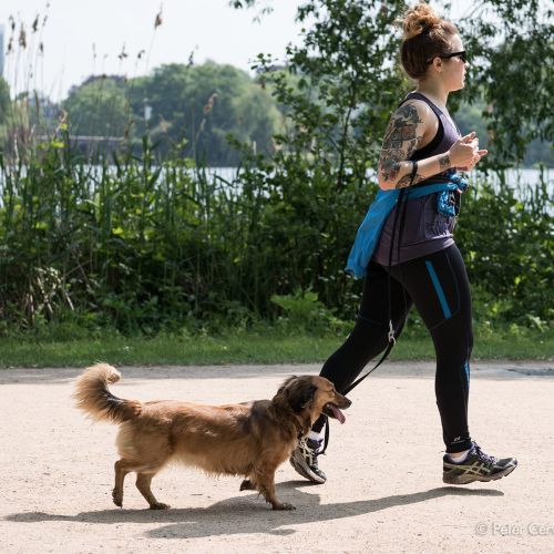 w1800 20190524 dog hh