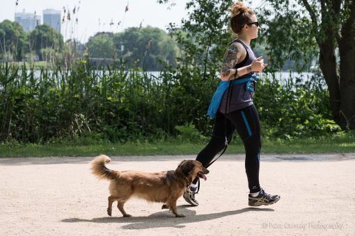 w1800 20190524 dog hh