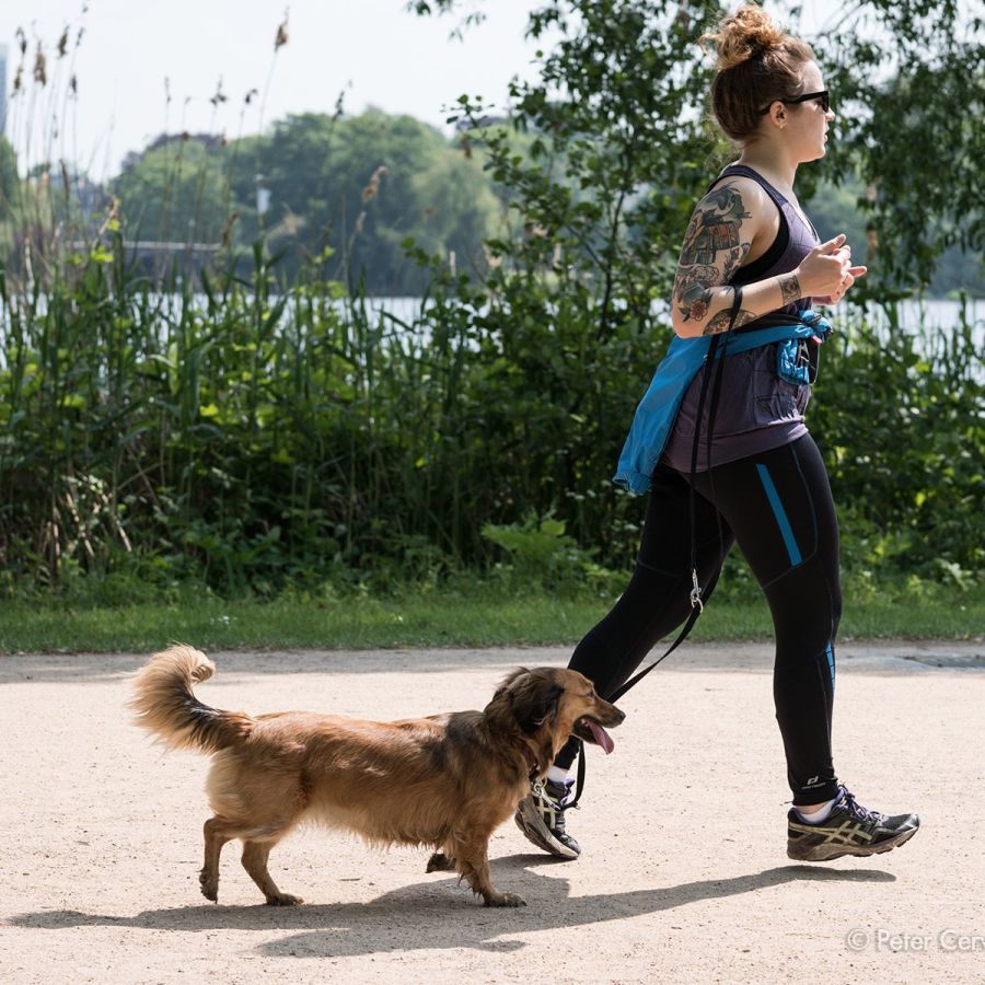 w1800 20190524 dog hh